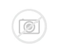 Goodride Pathfinder SL366 M/T (185/ R14 102/100Q)