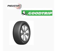 GOODTRIP BLUEGUARD 205 60 R15 91V (2056015)