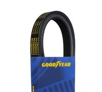 Goodyear 1070677 Cintura a serpentina, 7 costole, lunghezza 172 cm