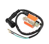 GOOFIT Bobina Di Accensione Sostituzione per 50cc 70cc 90cc 110cc 125cc ATV 4 Wheeler Quad