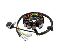 GOOFIT Bobina Statore Magneto Generatore Sostituzione per GY6 150cc Engines Scooter