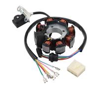 GOOFIT Generatore Di Accensione A 8 Bobine E 6 Fili Per Statore Magnetico Sostituzione per 125z 150sz Dm150 Rc125 Ft150 CG 125cc 150cc 200cc 250cc ATV Quad Dune Buggy Dirt Pit Bike Pro Trail Bike