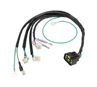 GOOFIT Kick Start Wiring Wire Harness Loom Sostituzione per Lifan 125cc 150cc