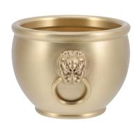 GOOHOCHY Ciotola in Ottone con Design Leone Vaso d'Acqua Decorazione da Scrivania per Casa e Ufficio Ciotola Prosperità e Ricchezza Resistente e Artistica