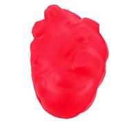 GOOHOCHY Realistico Del Cuore per Insegnamento Simulazione Organo per Educazione e Fisiologia Strumento Didattico per Scuole e Laboratori