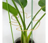 Goooxim Monstera - 5 supporti per piante Stabilizzatori da 22,9 x 19,6 cm, supporto resistente per foglie e paletto regolabile per cactus a lisca di pesce, facile da installare, strumento da giardino