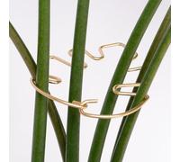 Goooxim Monstera - Supporto per piante da interno, 10,5 x 7,5 cm, resistente, con kit di morsetti regolabili, per Monstera e piante rampicanti per gli appassionati di giardinaggio