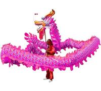GOOPEEG Danza del Leone, 10m/32.8ft Seta Dragon Dance Mascotte Ribbon Per 6 Giocatori Lion Head Performance Set Evento Culturale(Purple)