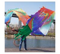 GOOPEEG Danza del Leone, Nastro Da Danza Del Drago In Tessuto Di Seta For La Con Testa In Fluida Che Agita E Lancia All'aperto Evento Culturale(Blue,6 meters)