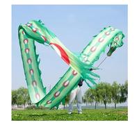 GOOPEEG Danza del Leone, Nastro Di Danza Del Drago Cinese 3D Colorato Simile Alla Seta, Filanti Leone, Stelle In Evento Culturale(Grün,6m)