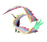 GOOPEEG Danza del Leone, Streamer 3D Colorato Dragon Dance Seta Lion Con Borsa Da Viaggio E Corda Outodor Fitness Ribbon Evento Culturale(A)