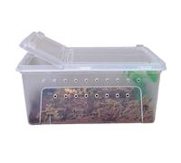 GOOPEEG Terrario Terrarium Contenitore for L'alimentazione dei Rettili, for La Riproduzione E Schiusa, Case for Animali Domestici Fauna Box(White)