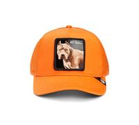 Goorin Bros. Trucker - Berretto The Dog Pitbull arancione, taglia: unica, Colore: arancione., Taglia unica