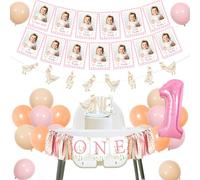Goose 1st Birthday Decorations A Little Silly Goose is Turning One High Chair Banner Pink Oche mensili Photo Banner Ghirlanda Topper Rosa Numero 1 Palloncino in lamina per ragazze Primo Compleanno