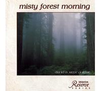 Gordon, David & Steve - Misty Forest Morning