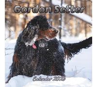 Gordon Setter Calendar 2026: Organizer For Home & Office From January to December For Men, Women