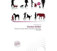 Gordon Setter: Dog breed, Dog, Setter, Gamebird, Partridge, Pheasant