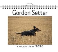 Gordon Setter: (Wandkalender 2026, Kalender DIN A4 quer, Monatskalender im Querformat mit Kalendarium, das perfekte Geschenk)