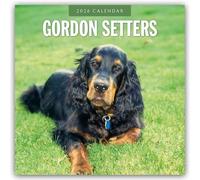 Gordon Setters - Gordon Setter 2026 - 16-Monatskalender: Original Red Robin Publishing Ltd-Kalender [Mehrsprachig] [Kalender]