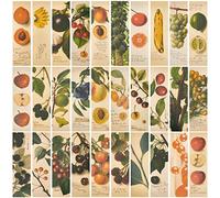 GORGECRAFT 1 SCATOLA 30PCS Segnalibri Segnalibri Magnetici Della Frutta Estetica Fantastici Segnalibro Della Frutta Dello Spirito Segnalibro A Clip In Stile Vintage per Libro, Aula Regalo