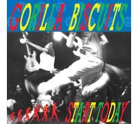 Gorilla Biscuits Start Today (Vinyl LP)