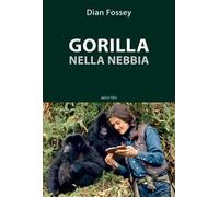 Gorilla nella nebbia