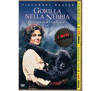 Gorilla Nella Nebbia (MITI)
