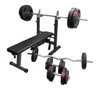 GORILLA SPORTS® Panca con Pesi - Pieghevole, Portabilanciere Regolabile in Altezza, 2 Bilancieri, 2 Manubri, 14 Dischi con Maniglia di Peso 100 kg - Panca Piana, Palestra, Multifunzione