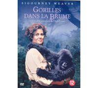 Gorillas Dans La Brume