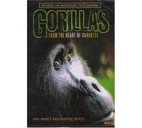 GORILLAS - FROM THE HEART OF DARKN MOVIE