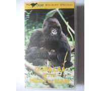 Gorillas in the Midst of Man [VHS]