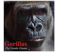 Gorillas • The Gentle Giants (Wall Calendar 2026 12" x 24" / 30 x 60 cm (aperto) Calvendo 12 Month Wall Calendar