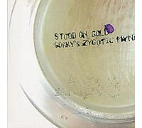 Gorky's Zygotic Mynci - Stood on Gold