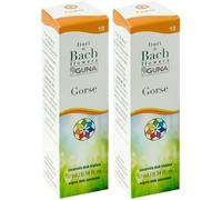 Gorse Guna Gocce 10 Ml 2x10 ml Gocce orali