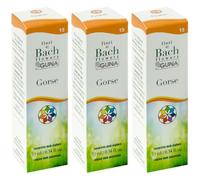 Gorse Guna Gocce 10 Ml 3x10 ml Gocce orali