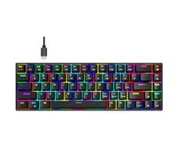 Goshyda Tastiera da Gioco Meccanica Cablata, Tastiera Retroilluminata RGB con Interruttore Marrone Sostituibile a Caldo a 68 Tasti, per Computer Portatile Desktop