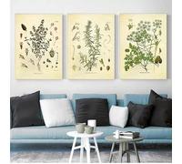 GOSRD Spezie, erbe aromatiche, stampe, poster botanici vintage, prezzemolo, salvia, timo, quadro da parete culinario, dipinto su tela, decorazione da cucina (30x50 cm, 3 pezzi)