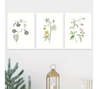 GOSRD Stampe su tela, pittura ad acquerello, fiori selvatici, arte botanica, floreale, in colori tenui, per camera da letto, soggiorno H (60x85 cm - 3 pezzi)