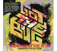 Got the Bug: Bugz in the Attic Remixes - Got the Bug: Bugz in the Attic Remixes