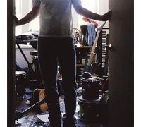 Gottesman, Brian - Pardon My Mess