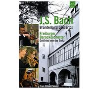 Bach: Brandenburg Concerto - Frieberger Barockorchester (DVD) Goltz Daniela Helm