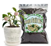 GOTVUGE Mix di terriccio per Hoya, miscela miscelata a mano personalizzata adatta per piante di felce in vaso per interni/esterni (1L)