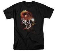 GOUDIDAO Men's Mole The Coolest Ond Most Interesting The of The Rings Lord You Sholl Not Poss Odult T-Shirts Black L