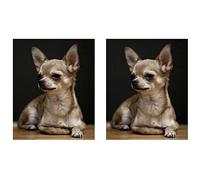 Goufride 2X Full Chihuahua del Ricamo Rotondo, Pittura del Diamante 5D, Immagine Sveglia del Diamante 'Animale Domestico del Cane della Decorazione Domestica dei Cristalli di Rocca