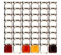 gouveo set da 48 vasetti per conserva 40 ml mini con coperchio a vite argento - mini vasetti per conservazione con tappo a vite TO43 - vasetti per marmellata (EGR040S)