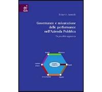 Governance e misurazione delle performance nell'azienda pubblica. Un possibile approccio