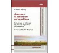 Governare la dimensione metropolitana. Democrazia ed efficienza nei processi di governo dell'area vasta