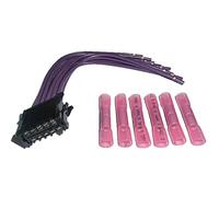 GOZAR Riscaldatore Resistenza Soffiatore Connettore Cablaggio per Renault Megane Clio Twingo