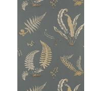 GP & J Baker Carta da parati Ferns - Charcoal/ Bronze