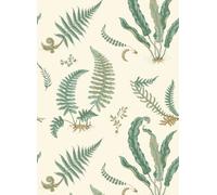 GP & J Baker Carta da parati Ferns - Verdigris